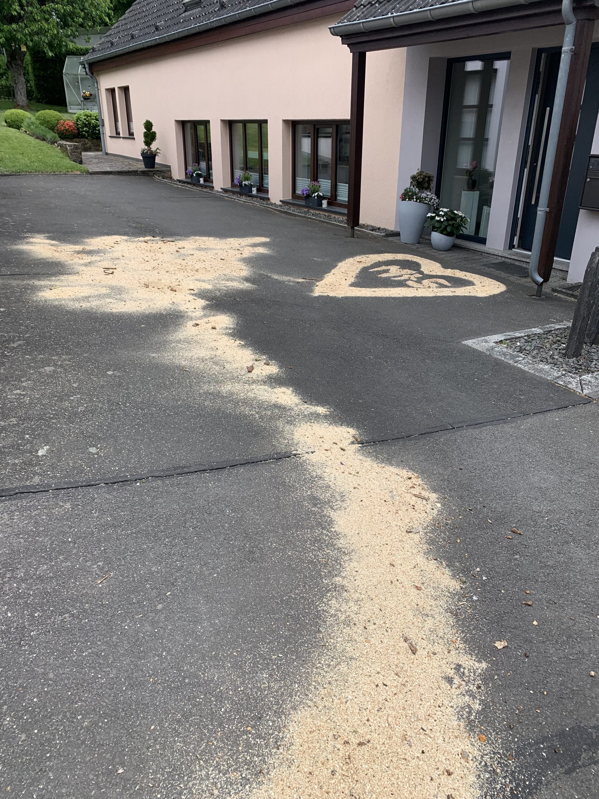 5oI66G6QNTJ8-IMG_3109