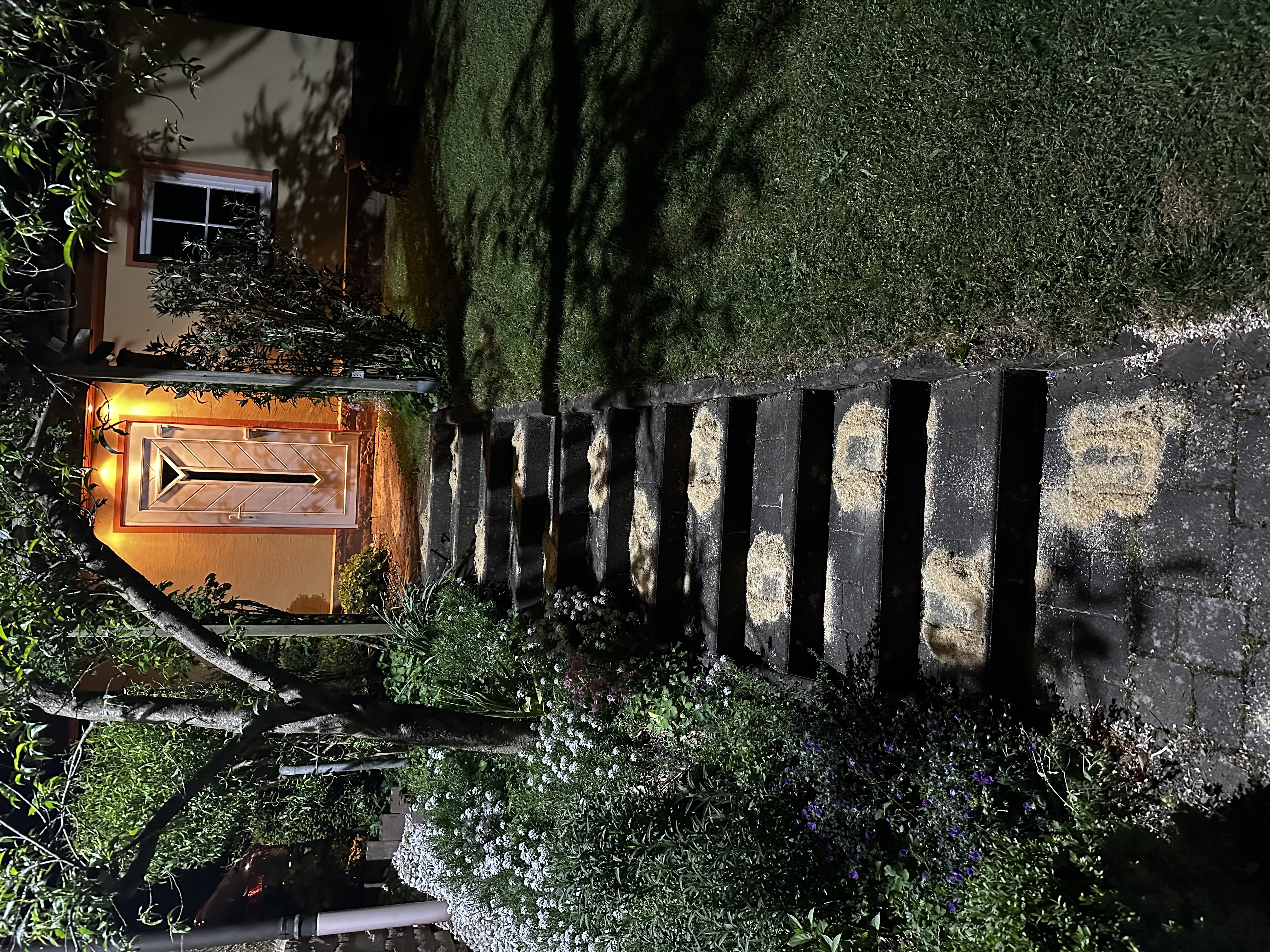 7fYH73Y4nmIT-IMG_1689