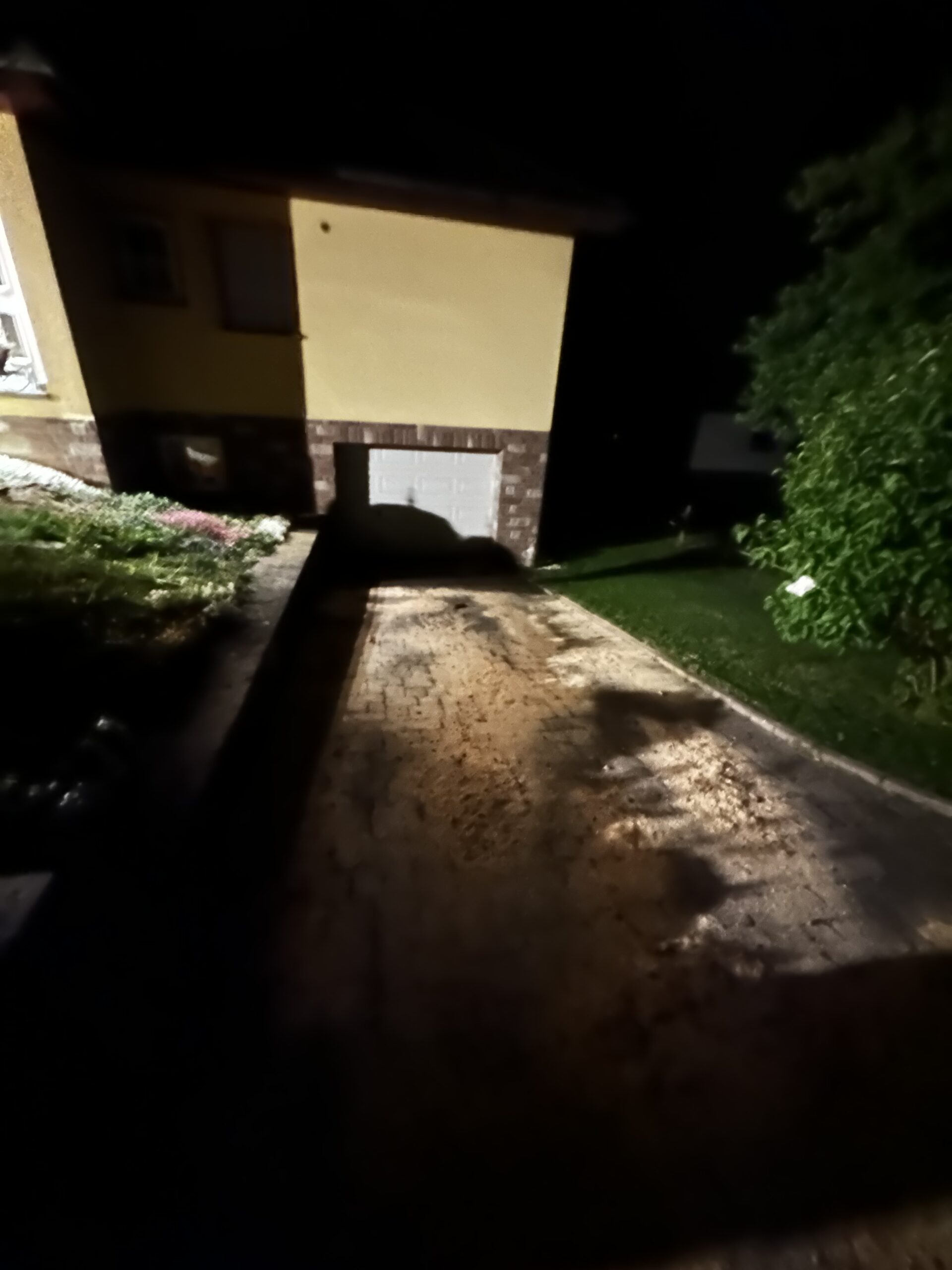 CLRtG4cTY88u-IMG_1696